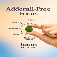 Focus Gummies - L-Tyrosine, Vitamin B12 & Lion's Mane